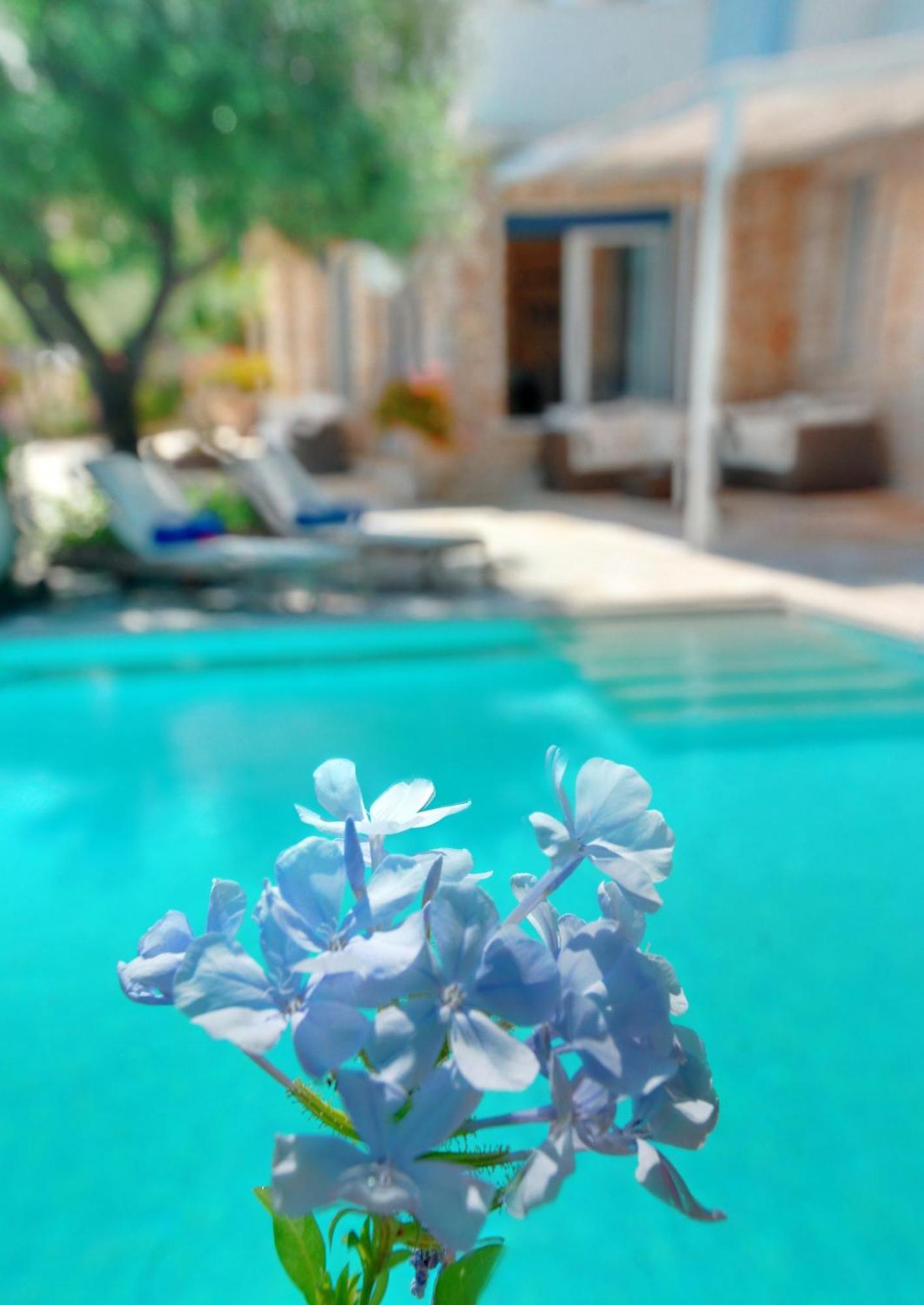 בארבאטי Corfu Luxury Villas חדר תמונה